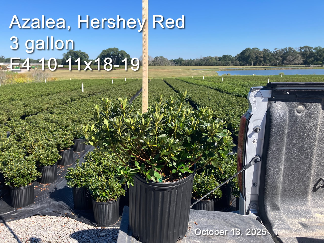 gallery/hr3 e4 oct13.jpg